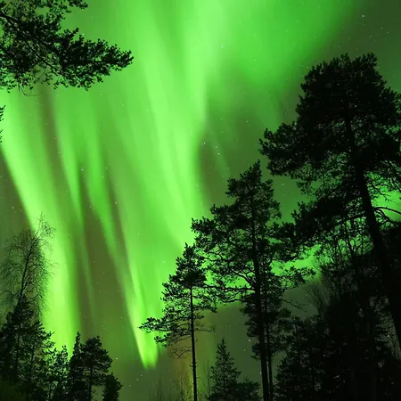 Luxury tent Private Jacuzzi Igloo Bedroom In Aurora Lounge With Shared Sauna And Pet Friendly