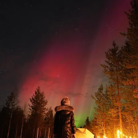 Private Jacuzzi Igloo Bedroom In Aurora Lounge With Shared Sauna And Pet Friendly Glamping Rovaniemi