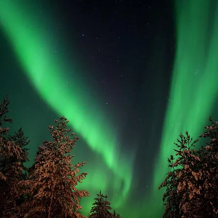 Private Jacuzzi Igloo Bedroom In Aurora Lounge With Shared Sauna And Pet Friendly * Rovaniemi