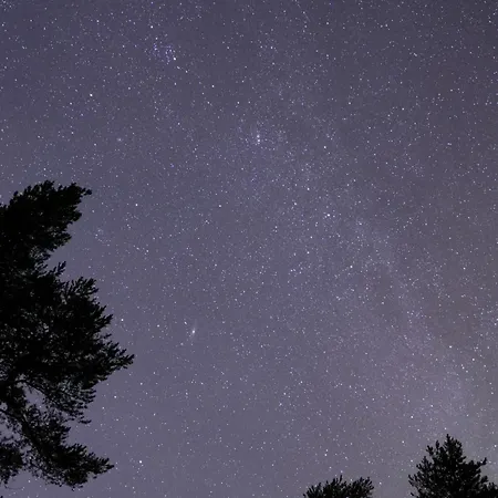 Private Jacuzzi Igloo Bedroom In Aurora Lounge With Shared Sauna And Pet Friendly Luksustelt *