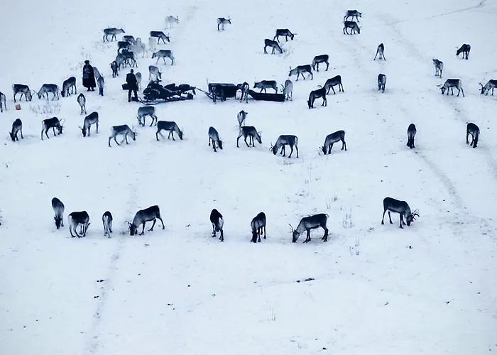 Private Jacuzzi Igloo Bedroom In Aurora Lounge With Shared Sauna And Pet Friendly Rovaniemi