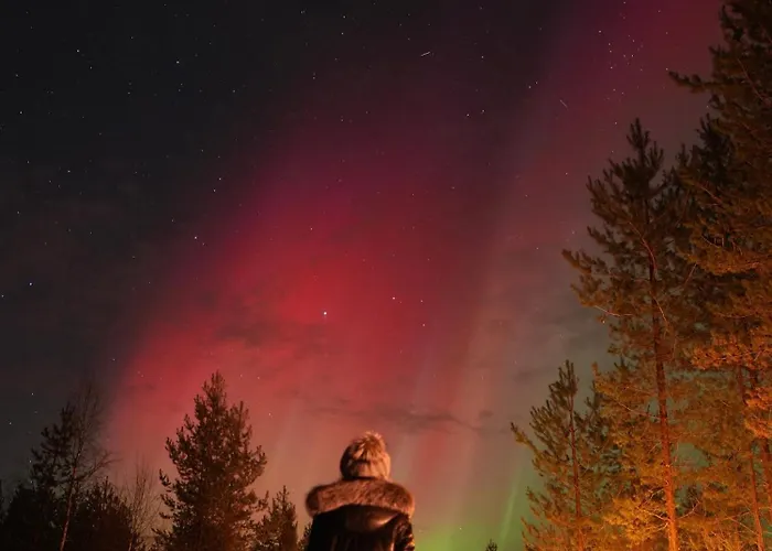 Private Jacuzzi Igloo Bedroom In Aurora Lounge With Shared Sauna And Pet Friendly Luksustelt Rovaniemi