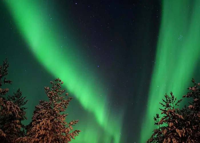 Private Jacuzzi Igloo Bedroom In Aurora Lounge With Shared Sauna And Pet Friendly * Rovaniemi