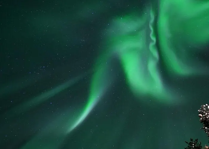 Private Jacuzzi Igloo Bedroom In Aurora Lounge With Shared Sauna And Pet Friendly * Rovaniemi